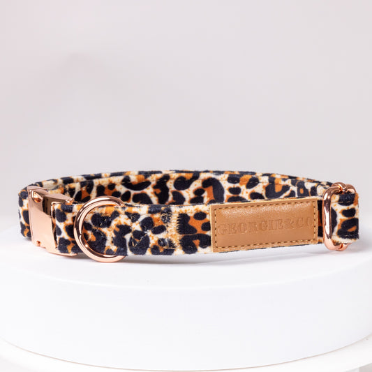 Presley Leopard Luxury Velvet Collar