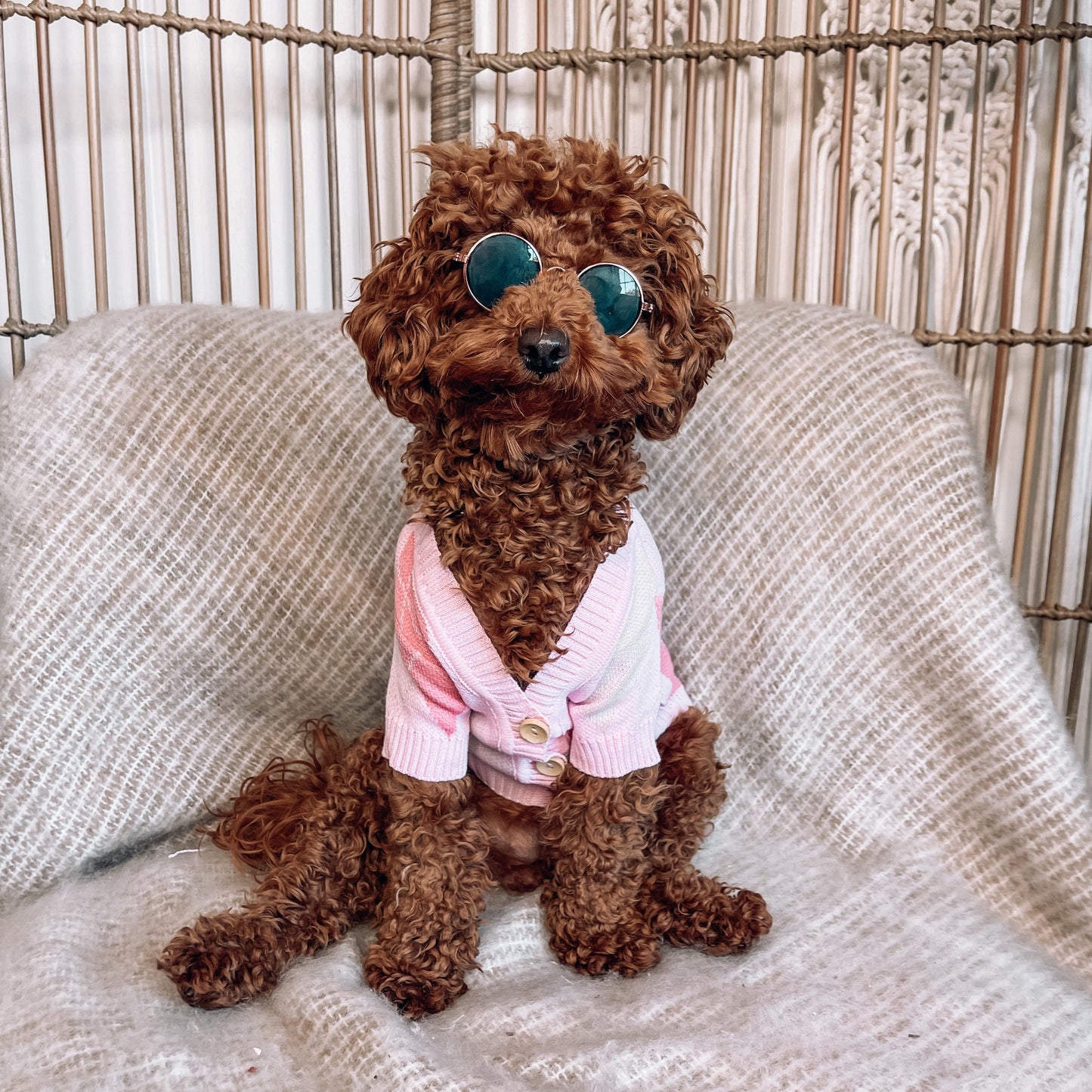 Gigi Pink Personalised Dog Cardigan