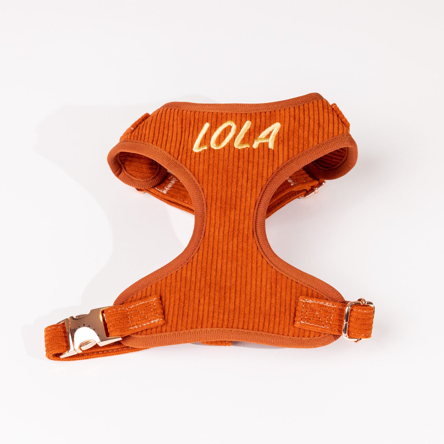 Hadley Luxury Rusty Orange Corduroy Personalised Harness Set