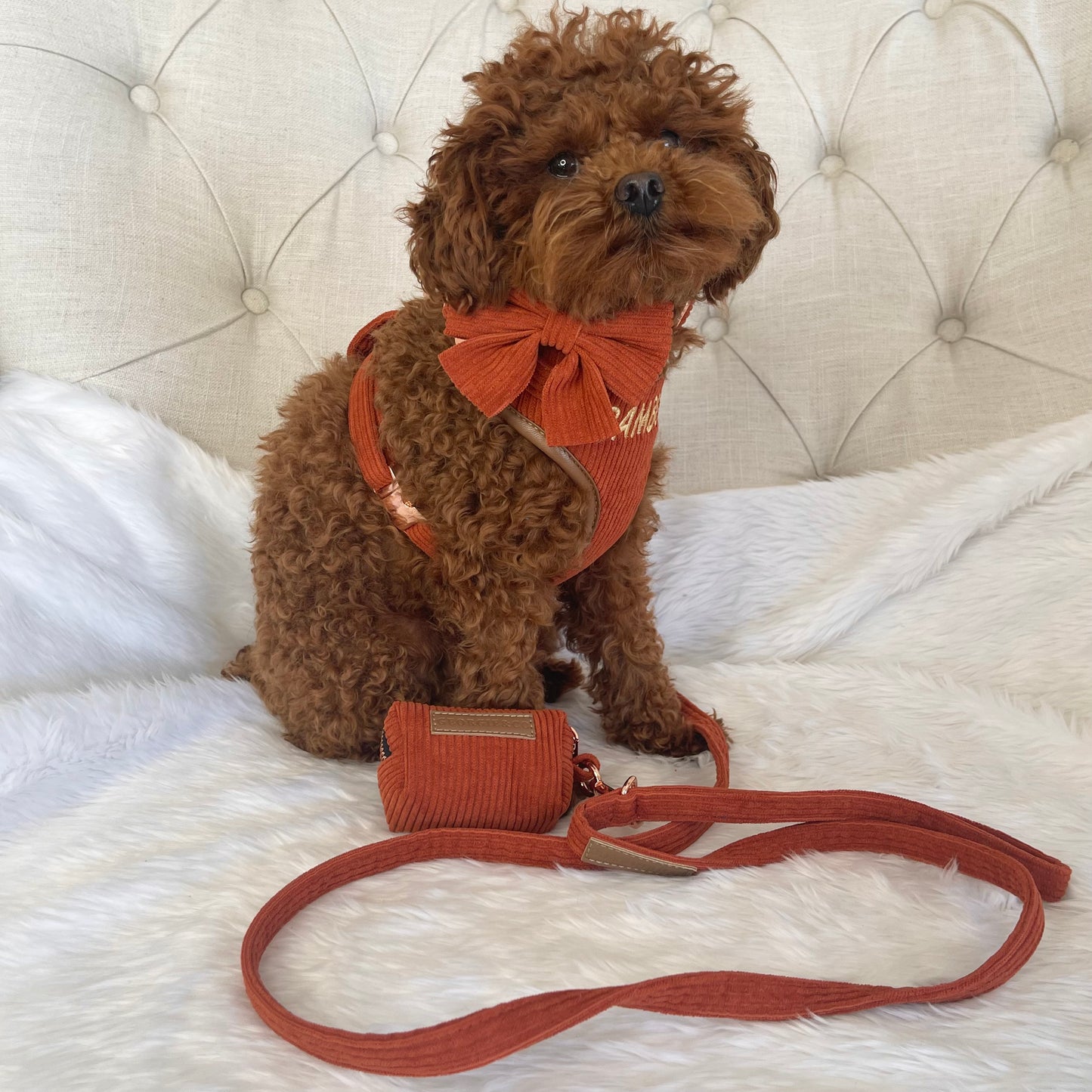 Hadley Luxury Rusty Orange Corduroy Personalised Harness Set with Leather Trim