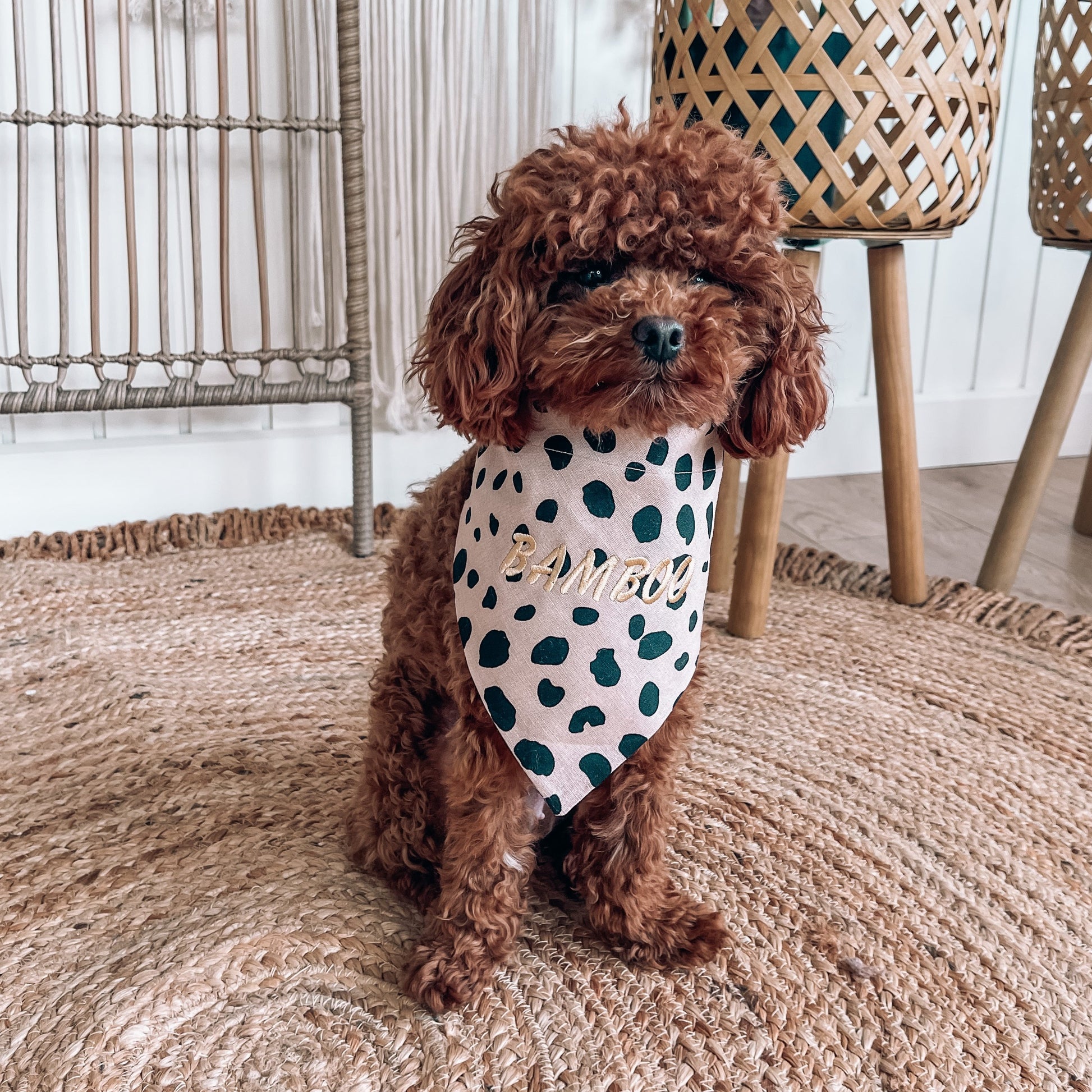 leopard embroidery dog bandana 