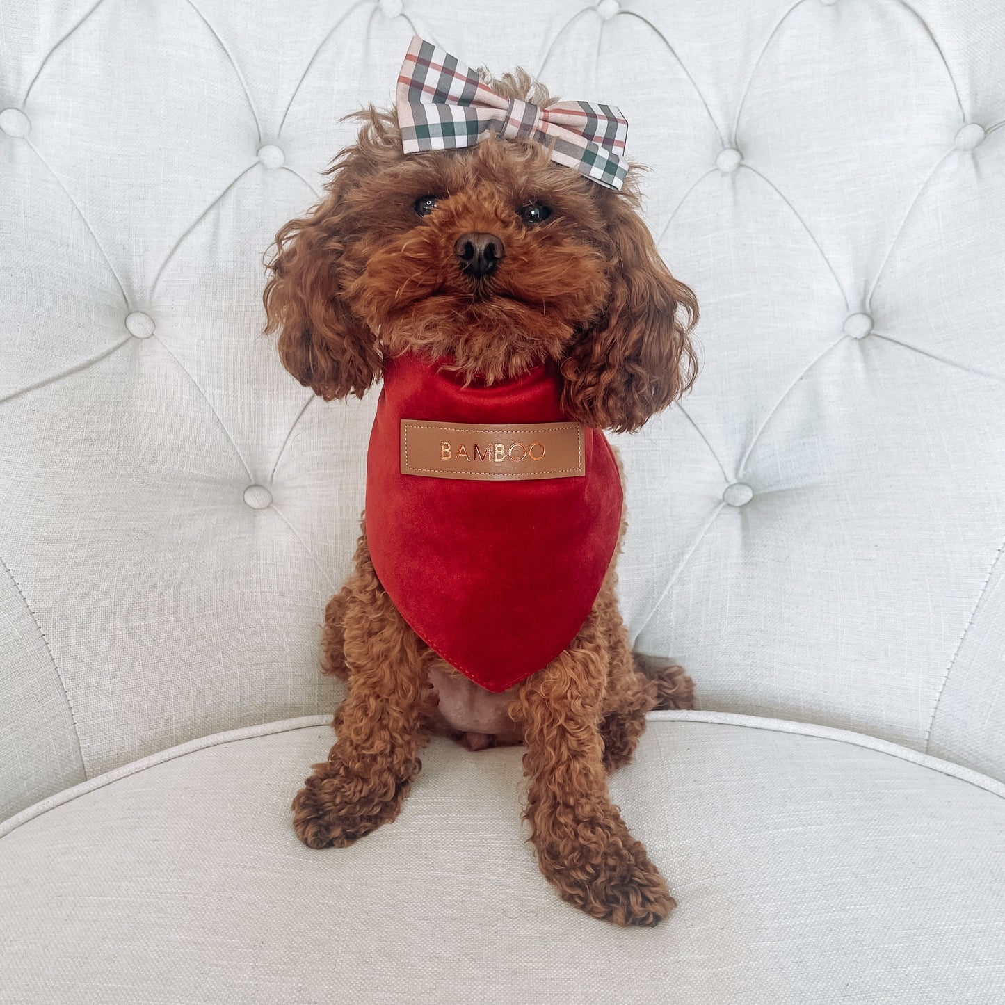 Sadie Personalised Red Velvet Dog Bandana