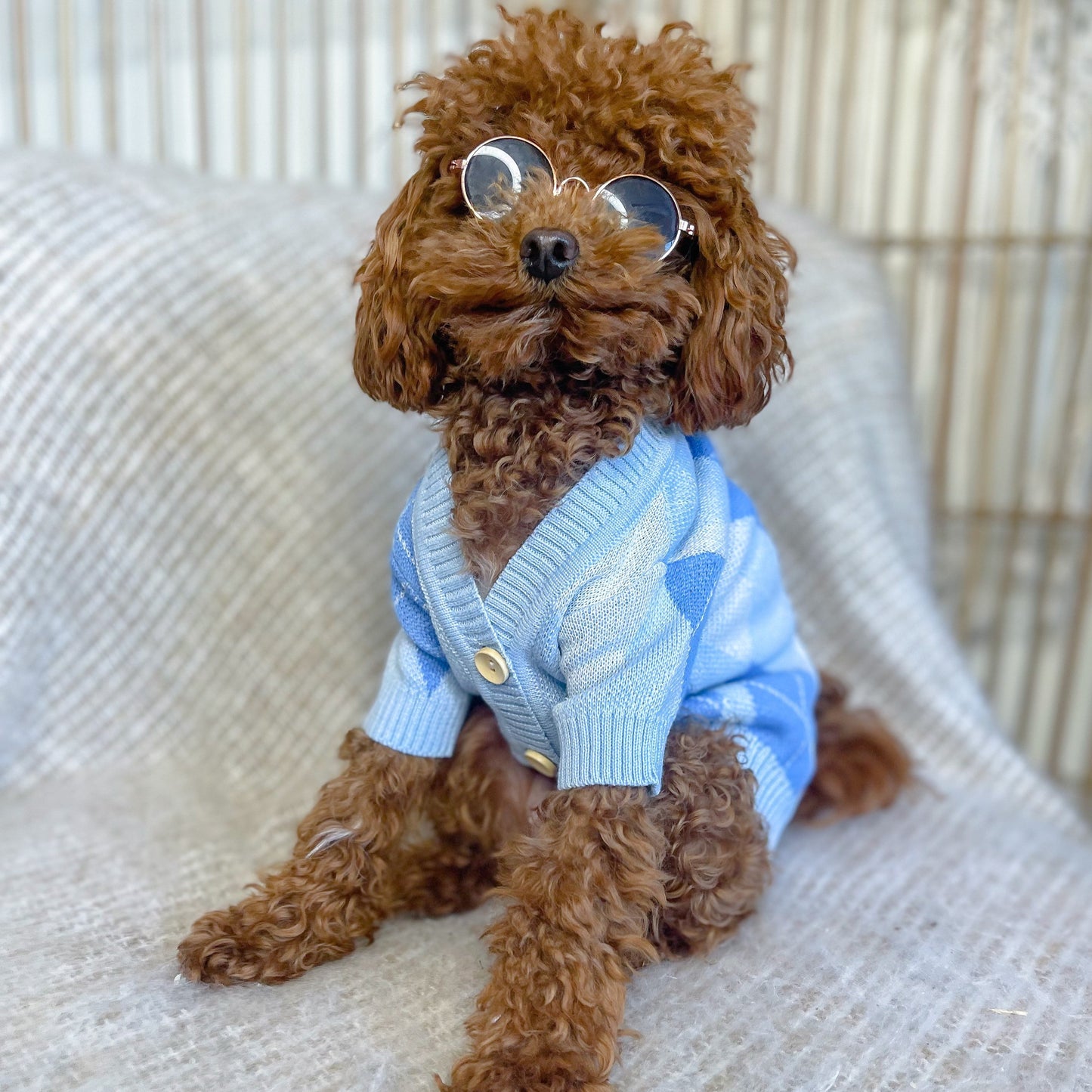 Archer Blue Personalised Dog Cardigan