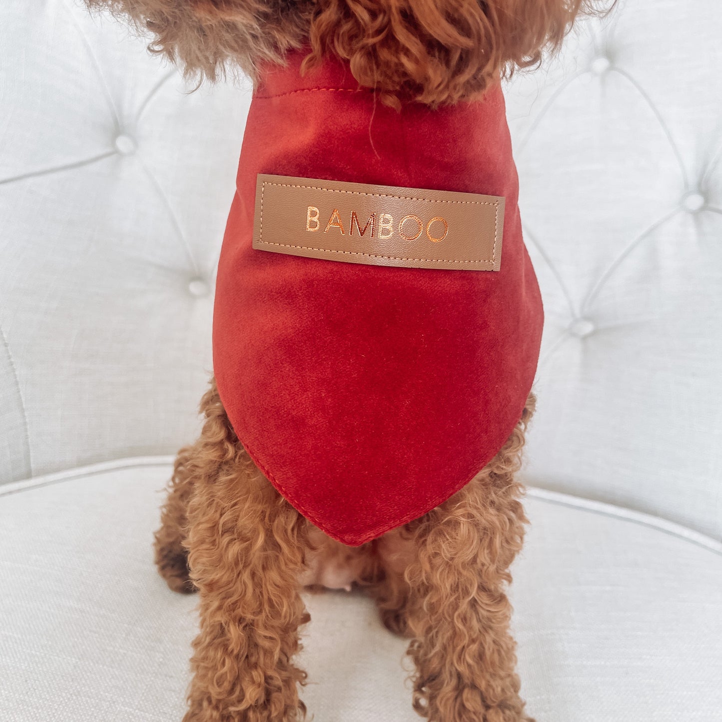 Sadie Personalised Red Velvet Dog Bandana