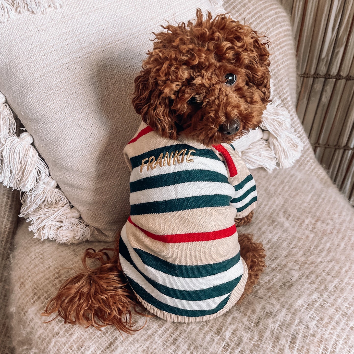 Harper Personalised Dog Cardigan