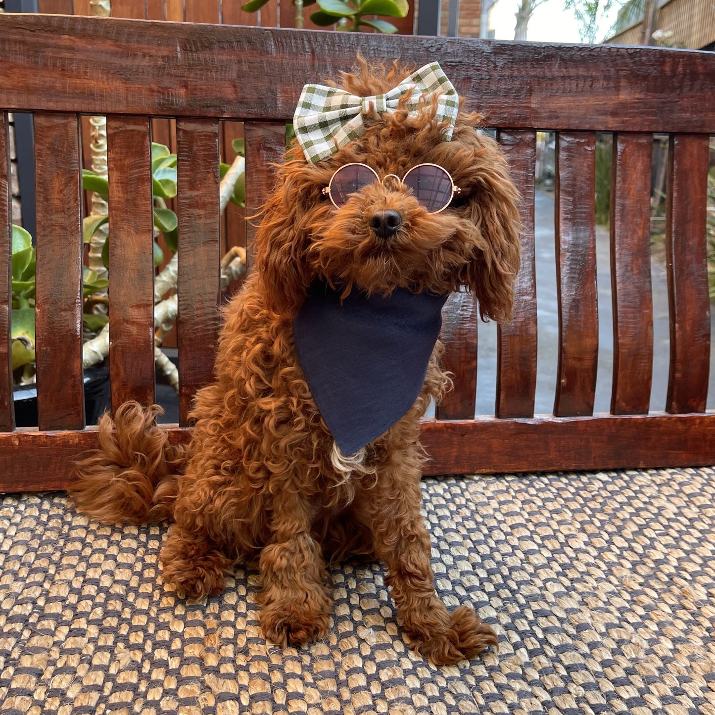 navy blue dog bandana