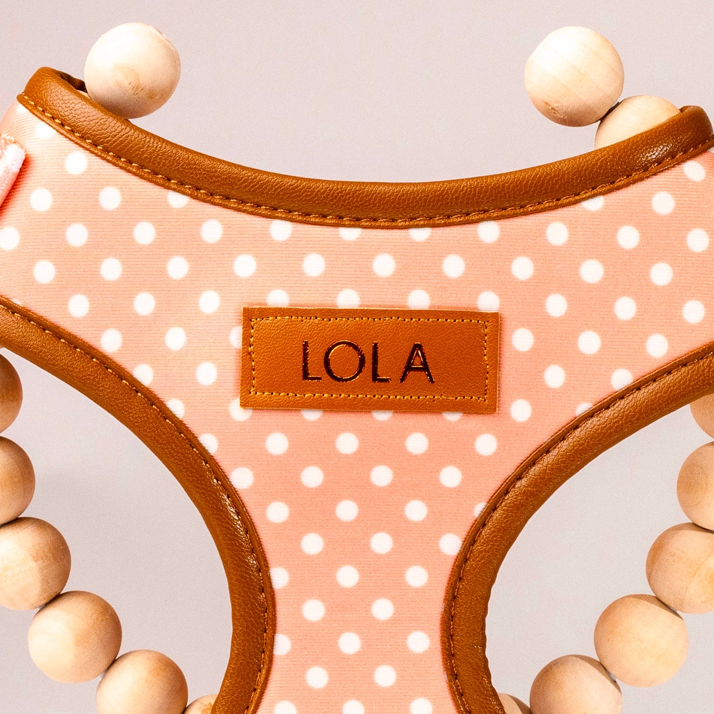 Melody Polka Dot Personalised Harness Set