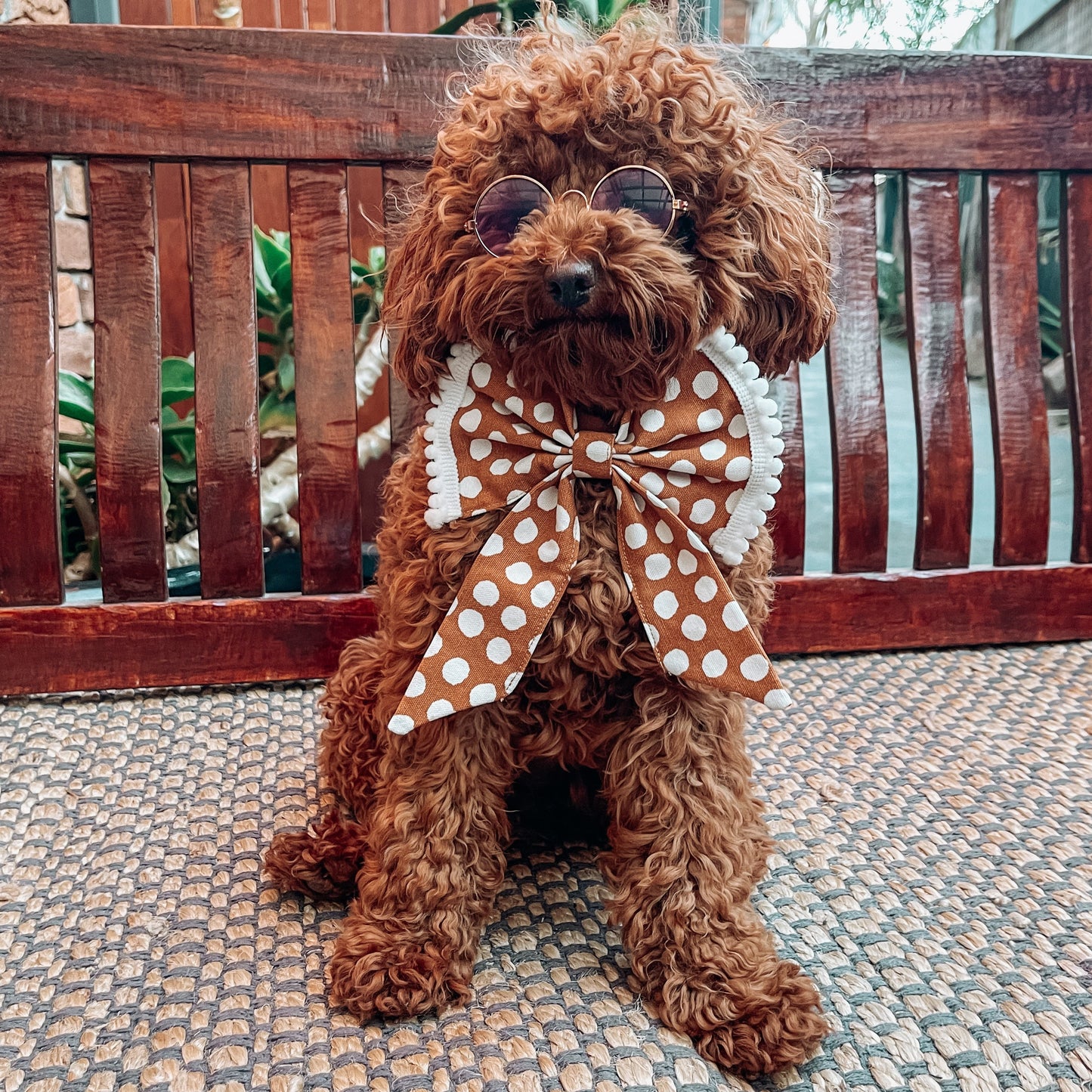 dog sailor bow tie 