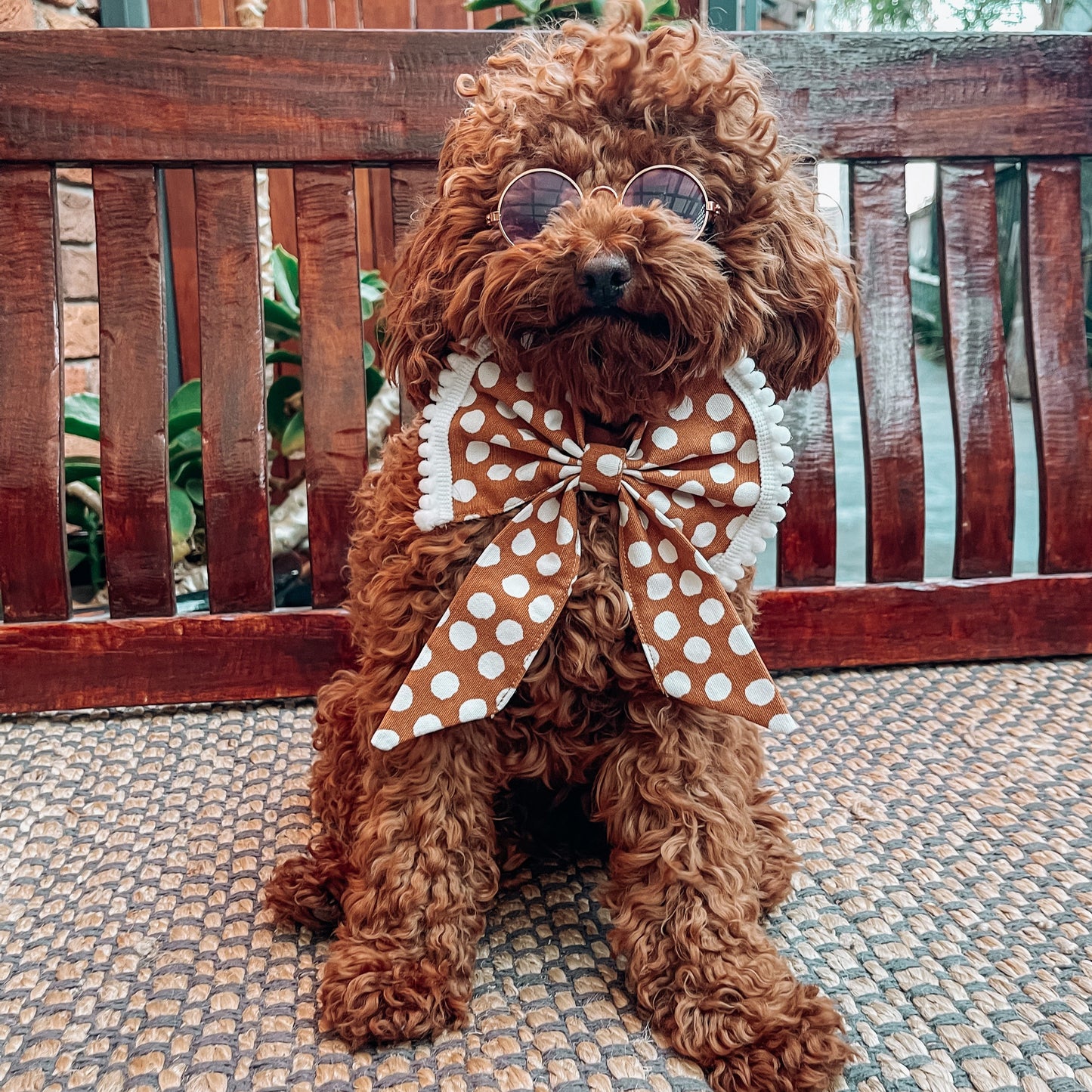 dog sailor bow tie