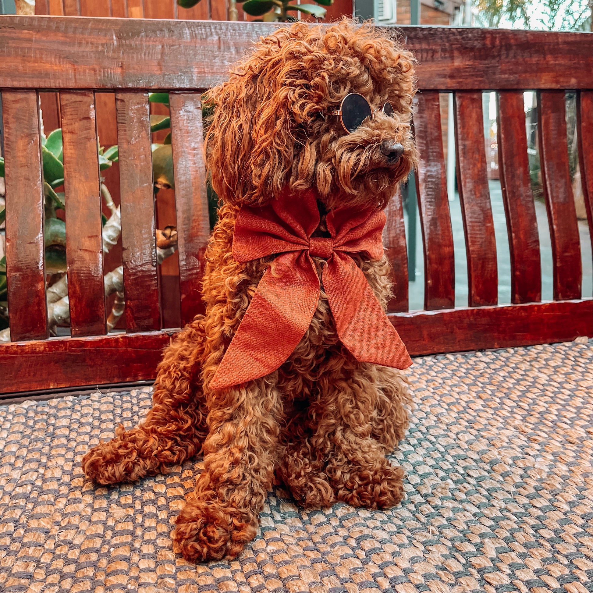 boho dog clothes bandana 