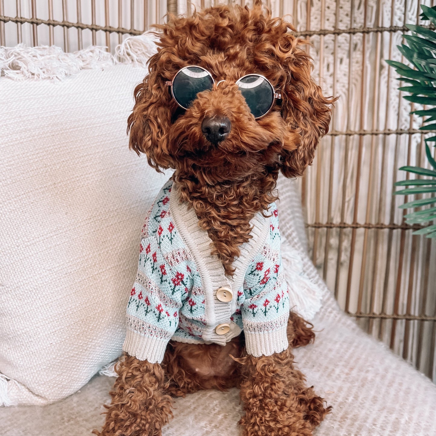 Mason Personalised Dog Cardigan