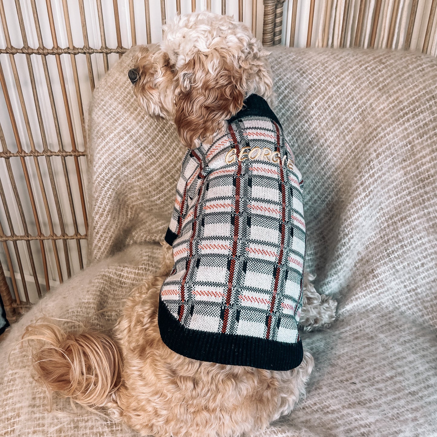 Bailey Personalised Dog Cardigan