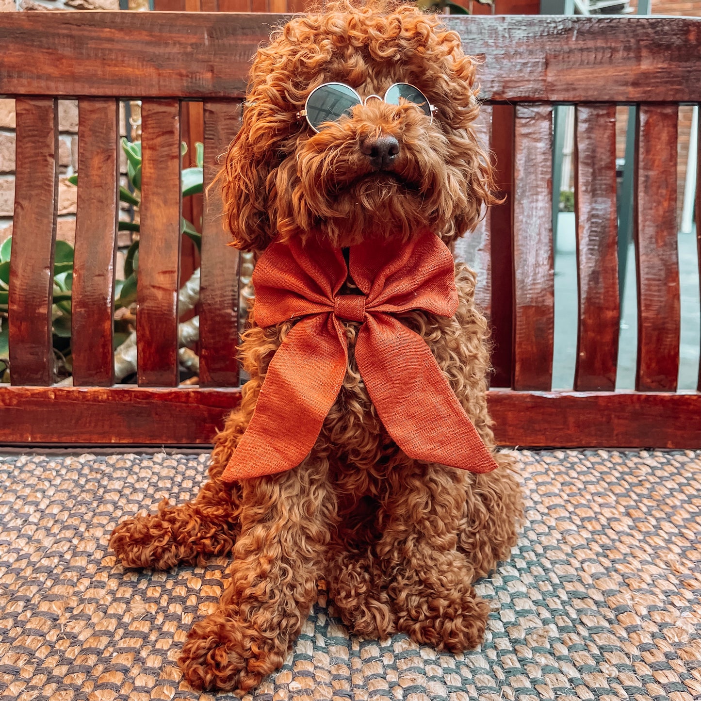 orange dog sailor bow tie 