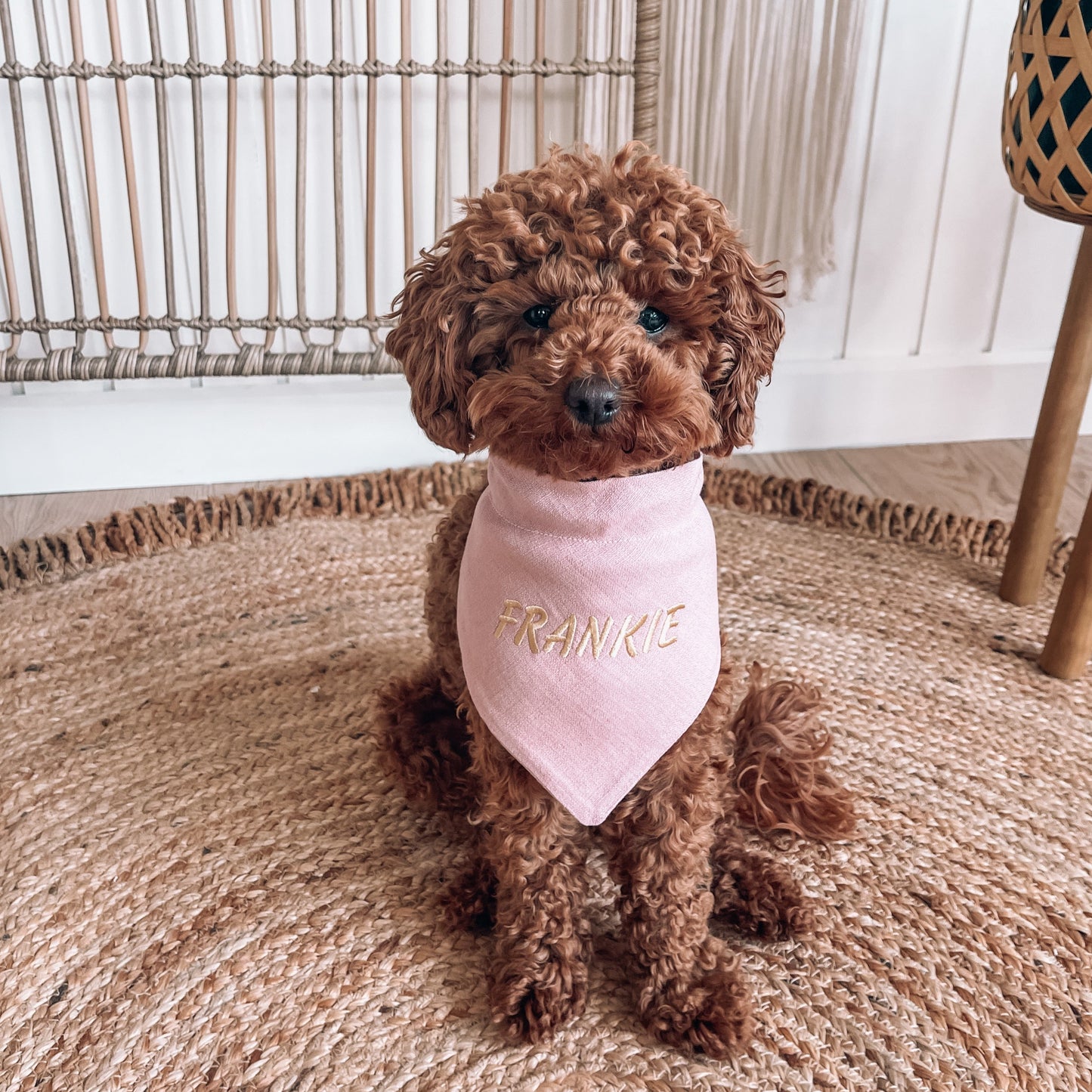 Aspen Pink Gold Embroidered Personalised Over The Collar Dog Bandana