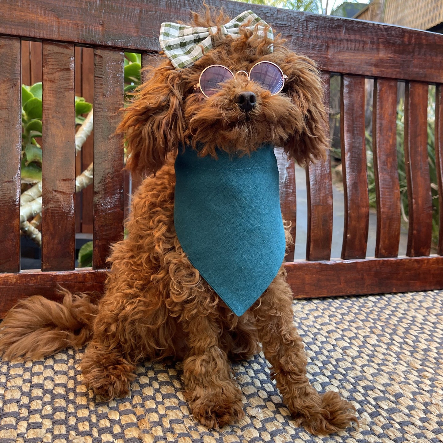 blue dog bandana 