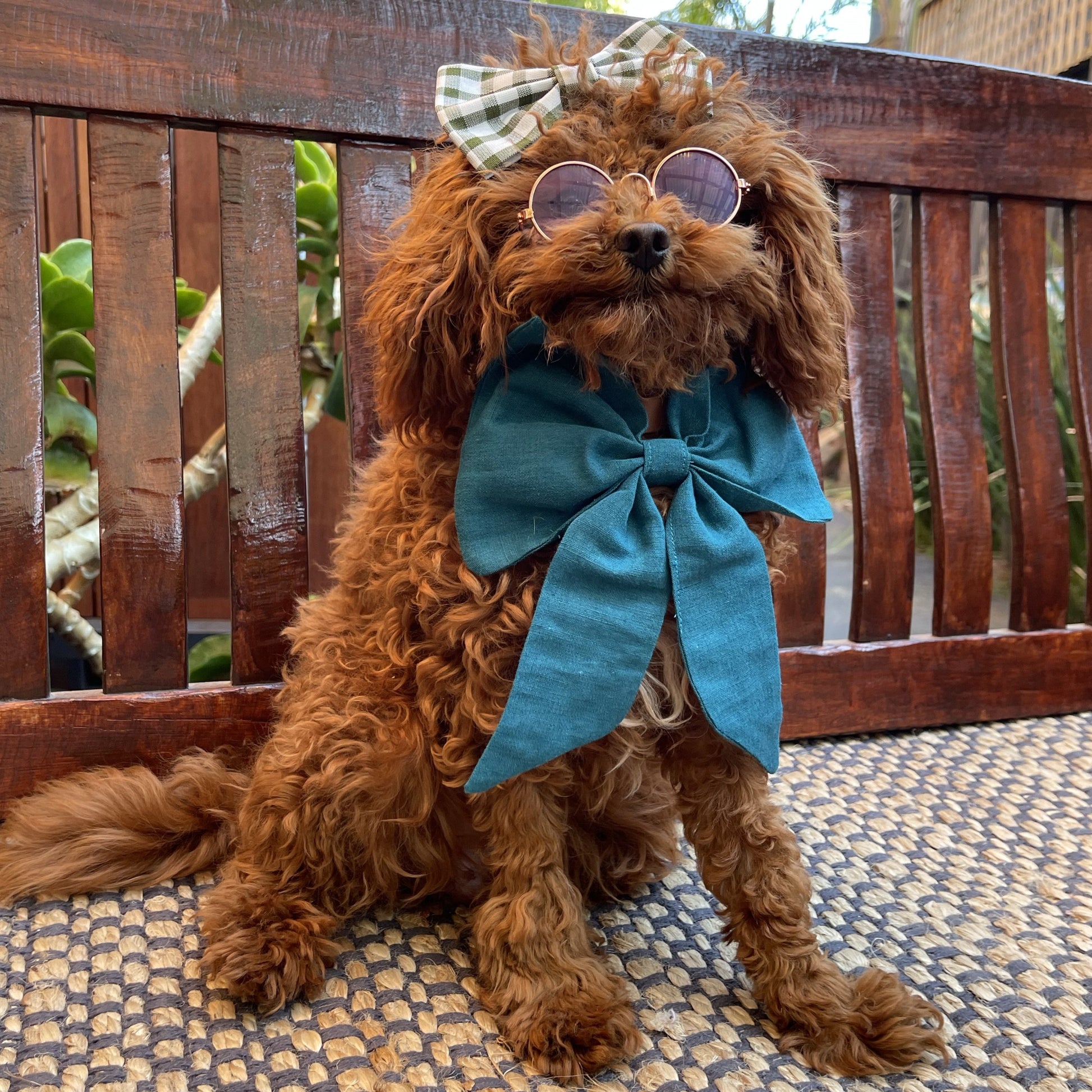 dog sailor bow bandana