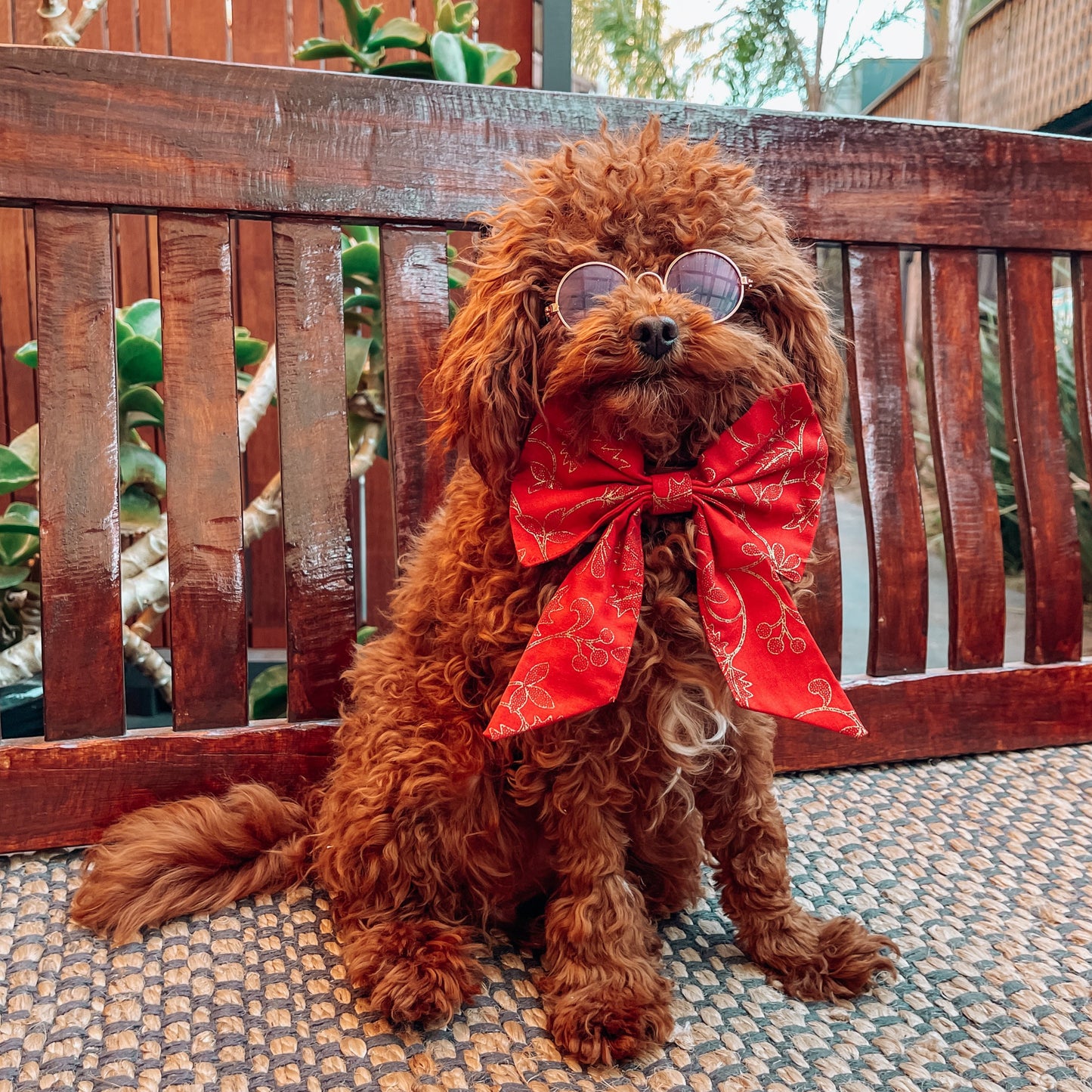 christmas dog sailor bow tie 