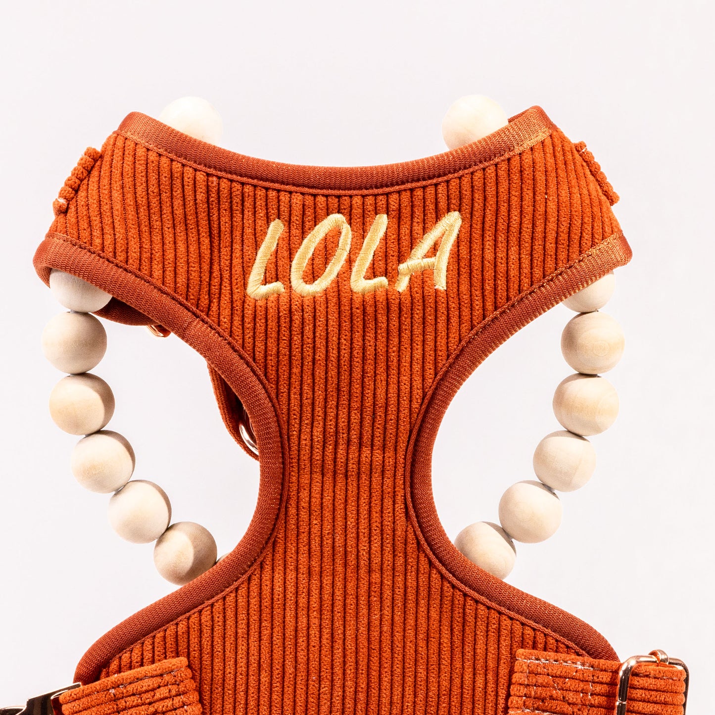 Hadley Luxury Rusty Orange Corduroy Personalised Harness Set