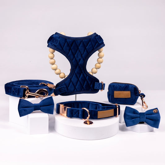 Karter Luxury Navy Blue Velvet Harness Set