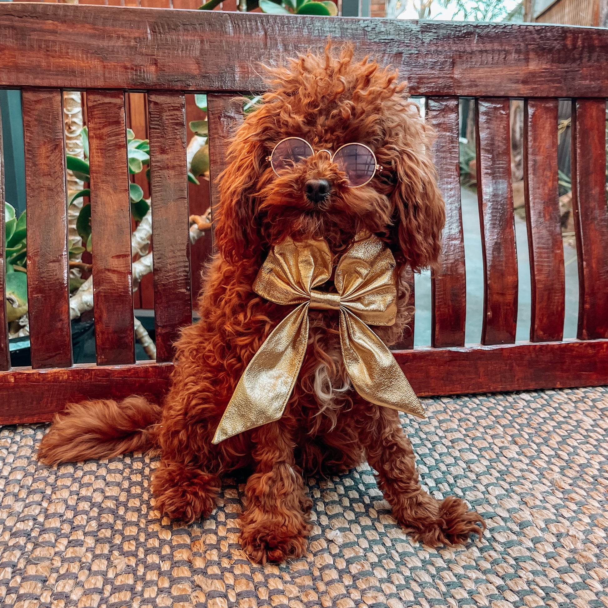 gold christmas dog bow bandana