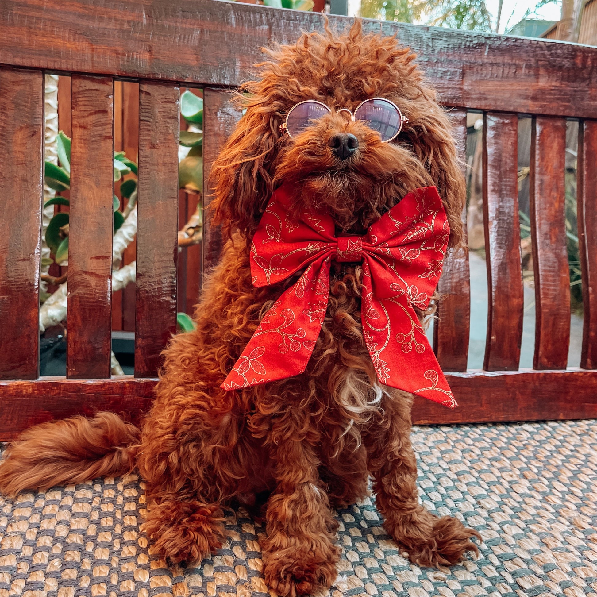 christmas dog bow bandana