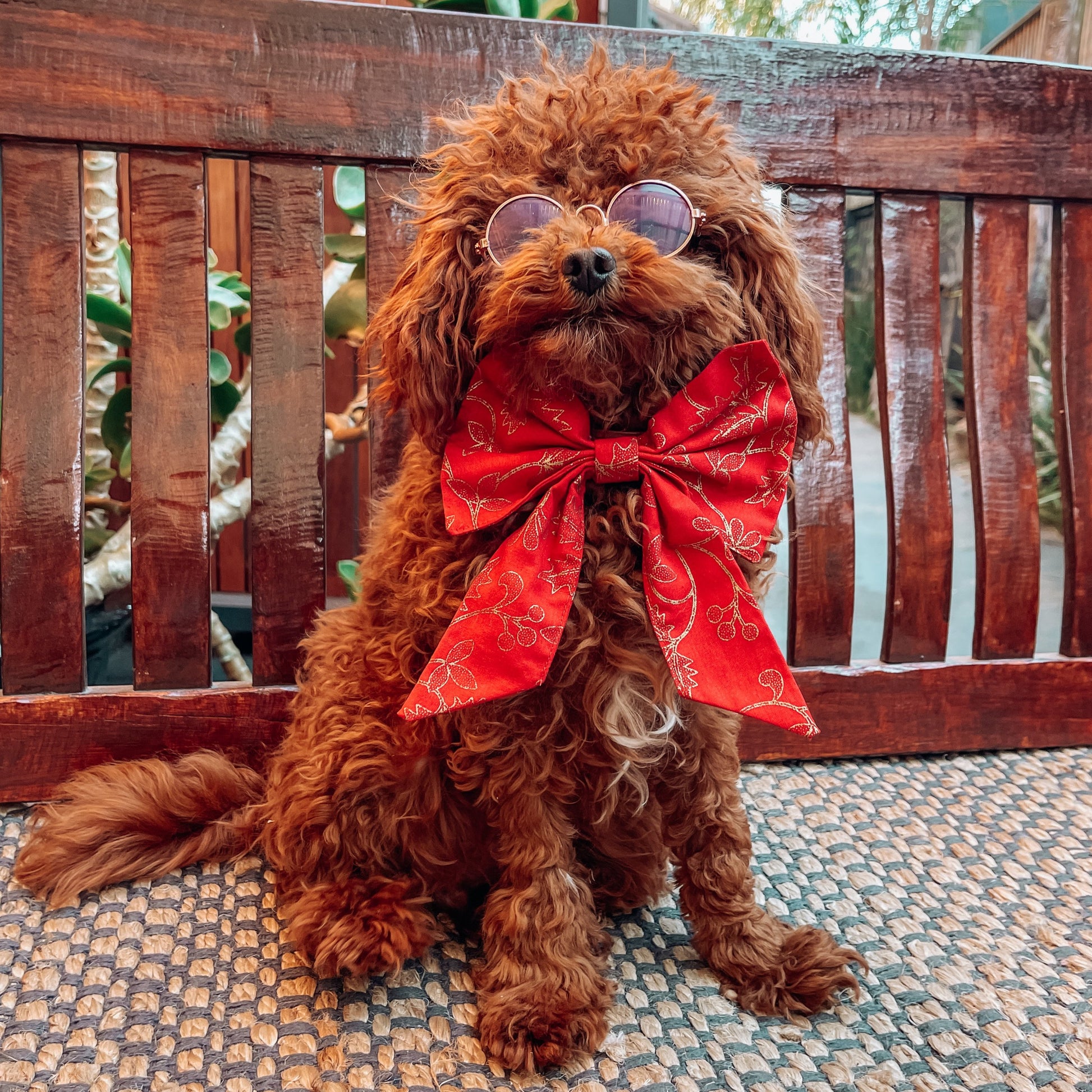christmas dog bow tie 