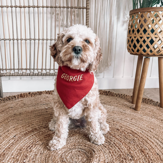 personalised red dog bandana 